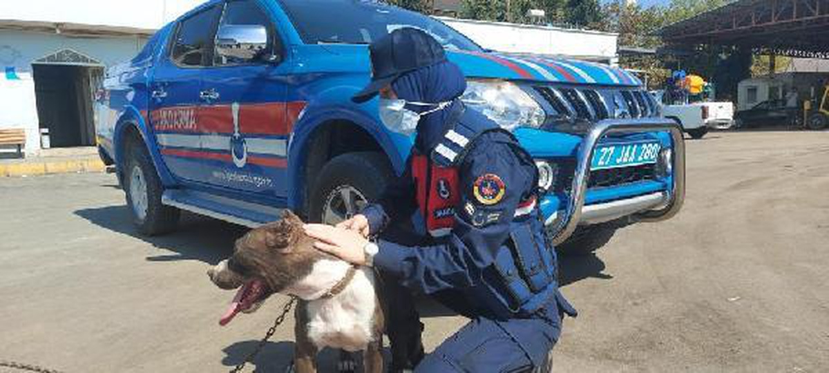 Otomobile bağladığı köpeği koşturan sürücüye 2 bin 102 TL ceza
