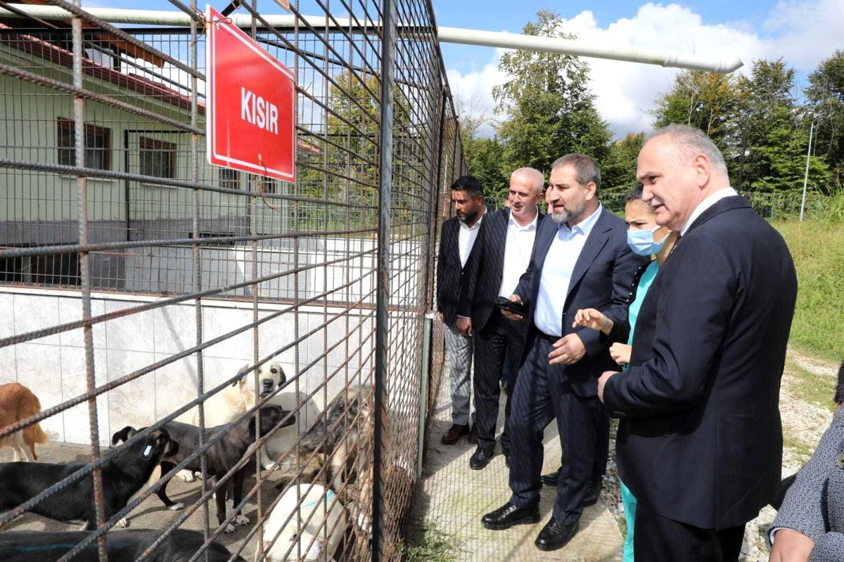 Özlü\'nün projelerine tam puan