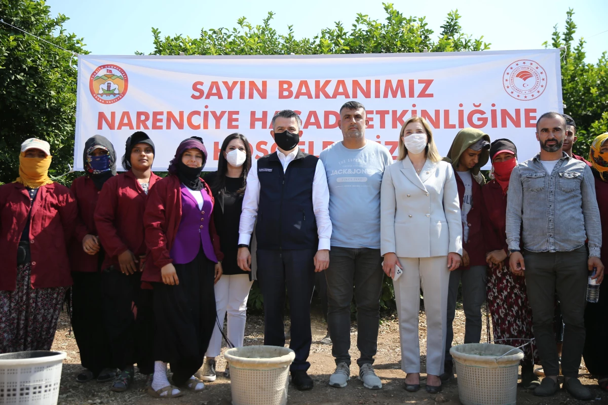 Tarım ve Orman Bakanı Bekir Pakdemirli, Adana\'da limon hasadına katıldı