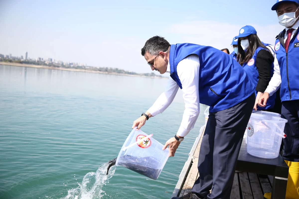 Tarım ve Orman Bakanı Pakdemirli, Adana\'da Seyhan Baraj Gölü\'ne balık bıraktı