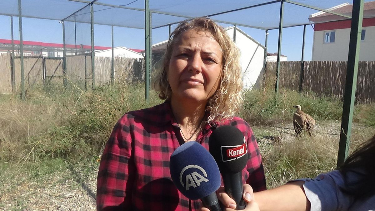 Afyonkarahisar\'da bitkin bulunan kızıl akbaba tedavi altına alındı