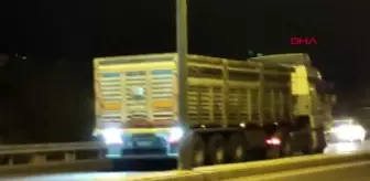 Sürücüsü alkollü minibüs, TIR ile çarpıştı