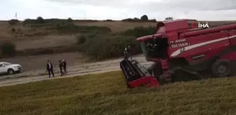 Çeltiğin başkenti İpsala'da damlama sulama yöntemi ile İlk defa ekilen çeltiğin hasadı yapıldı