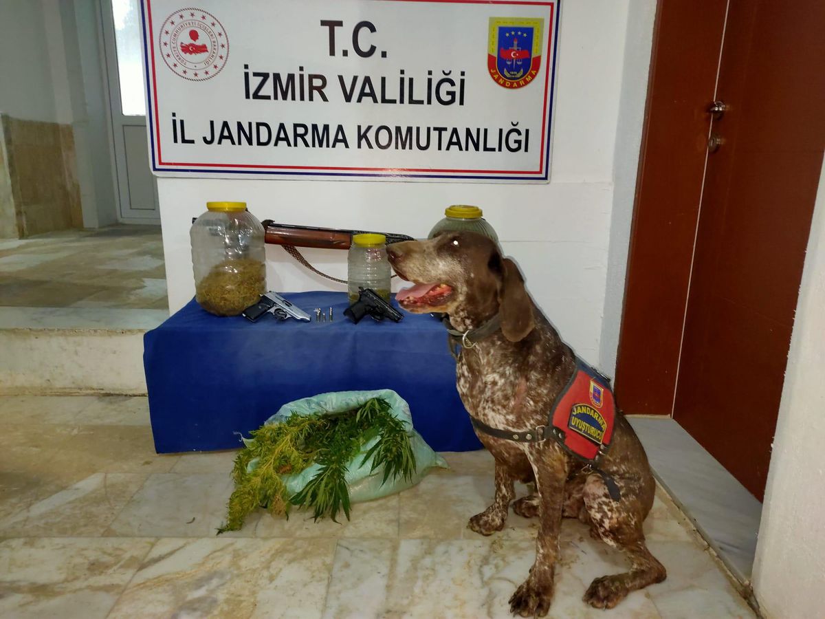 İzmir\'de uyuşturucu operasyonlarında 17 şüpheli yakalandı