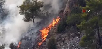 Son dakika haberi | KKTC'deki orman yangını kontrol altına alındı