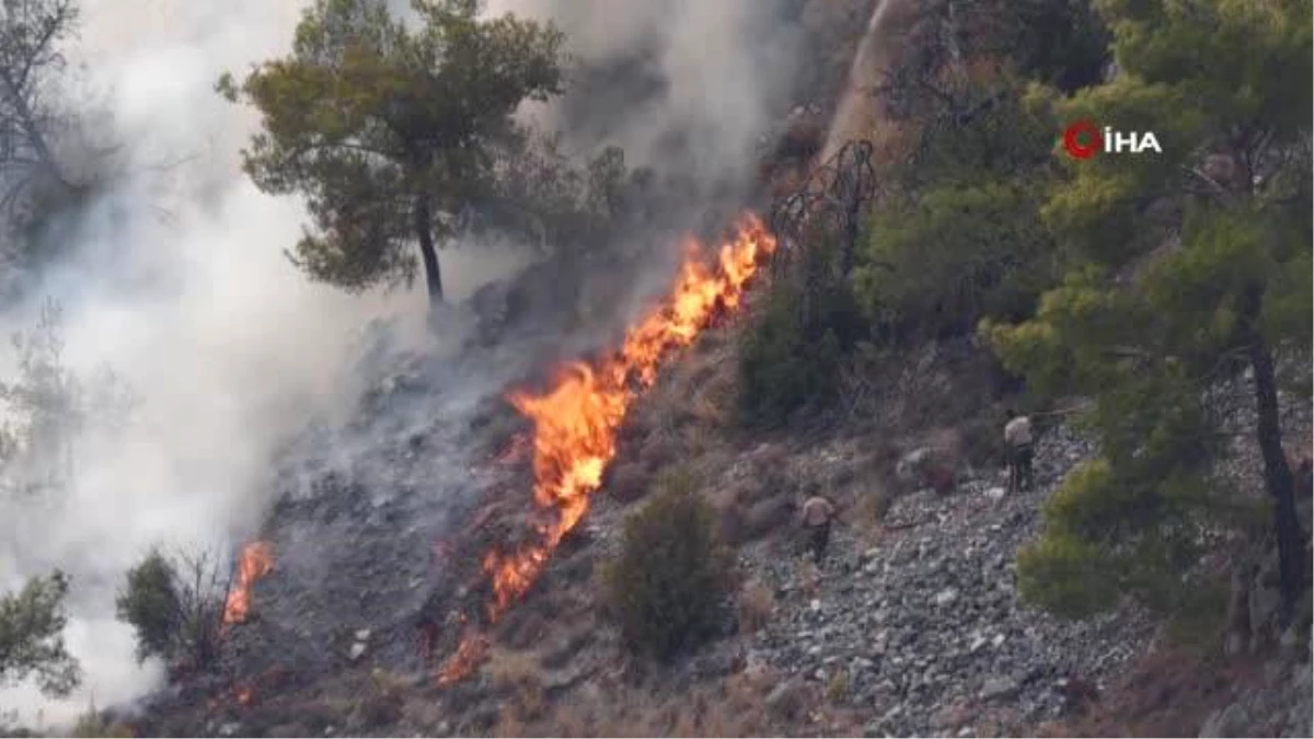 Son dakika haberi | KKTC\'deki orman yangını kontrol altına alındı