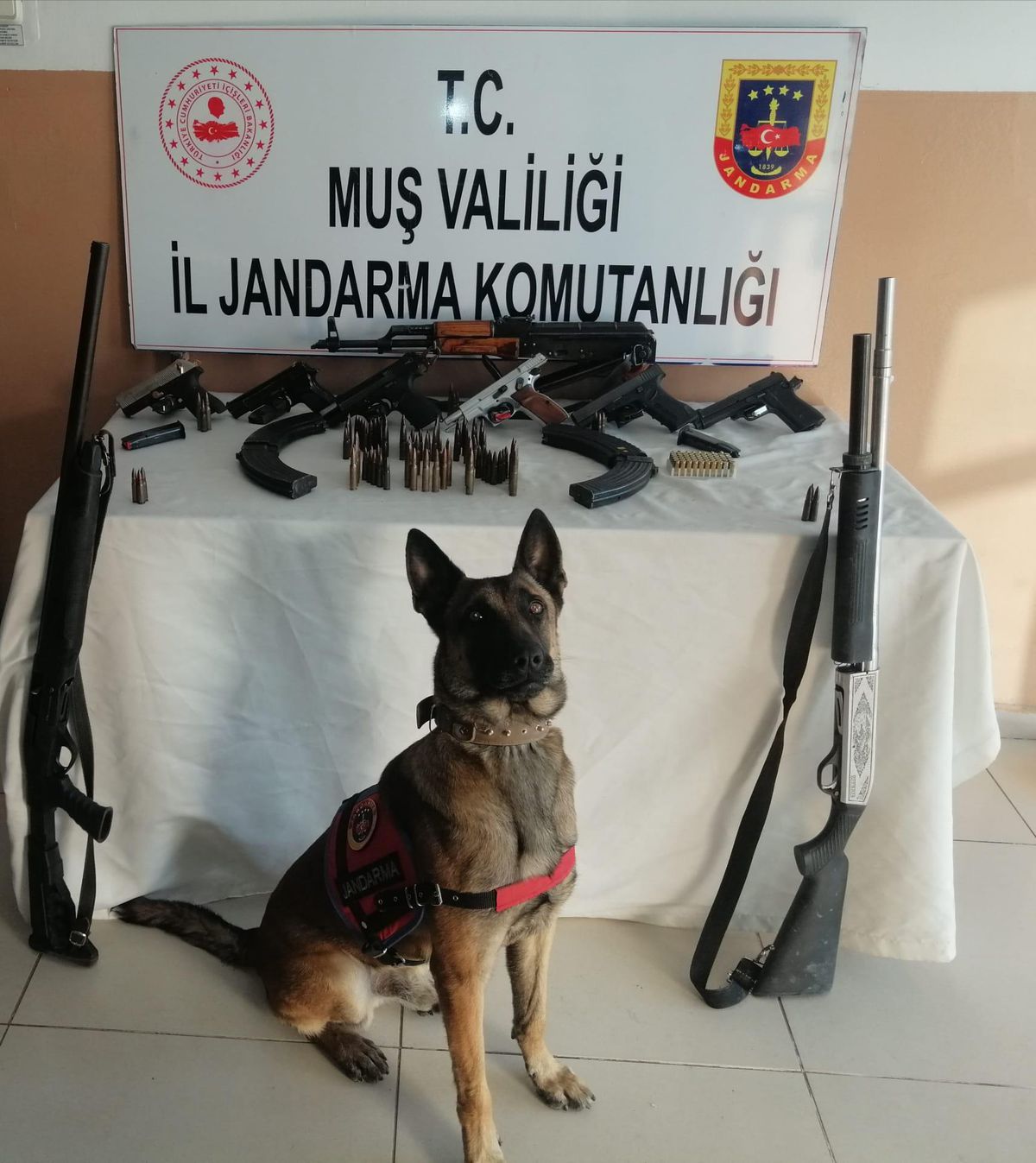 Malazgirt\'teki terör operasyonunda silah ve mühimmat bulundu