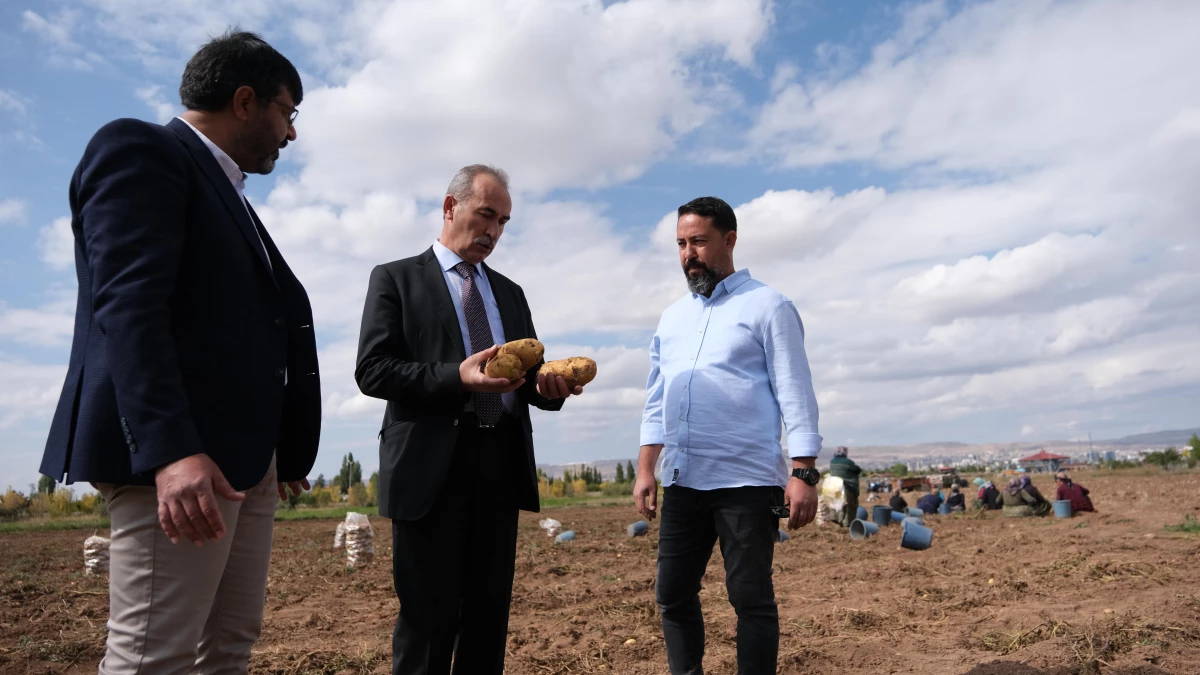 Sivas\'ta solucan gübresi kullanılan arazide patates verimi arttı