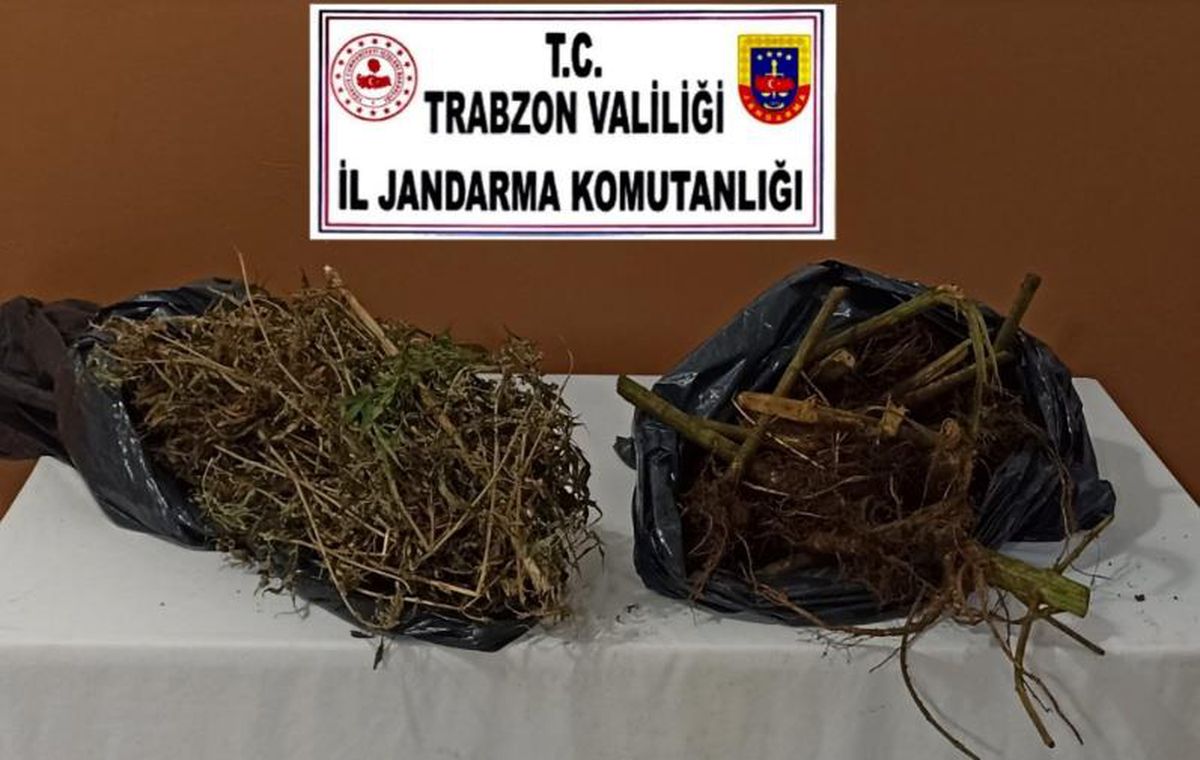 Trabzon\'da uyuşturucu operasyonunda 6 kişi yakalandı