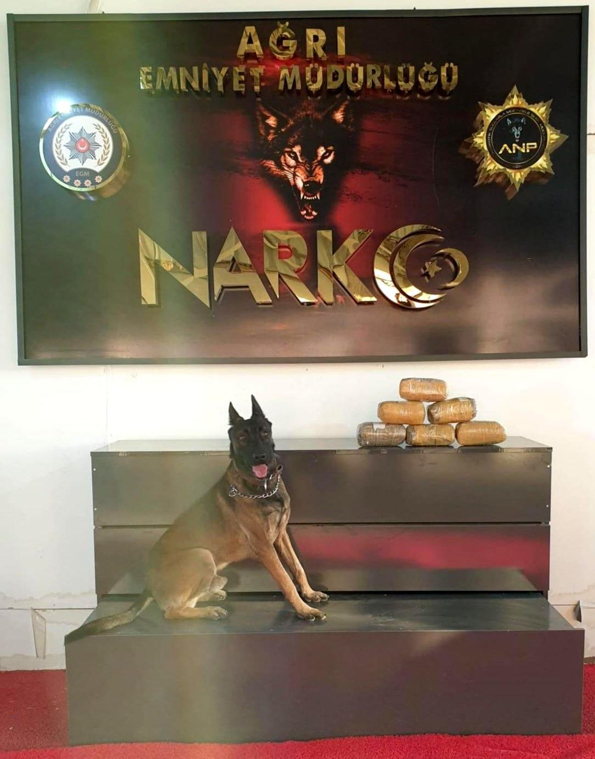 Ağrı\'da 6 kilo metamfetamin maddesi ele geçirildi