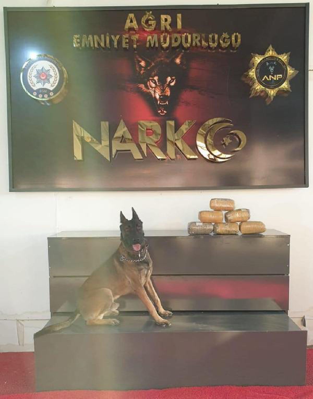 Ağrı\'da 6 kilo metamfetamin maddesi ele geçirildi; 1 tutuklama