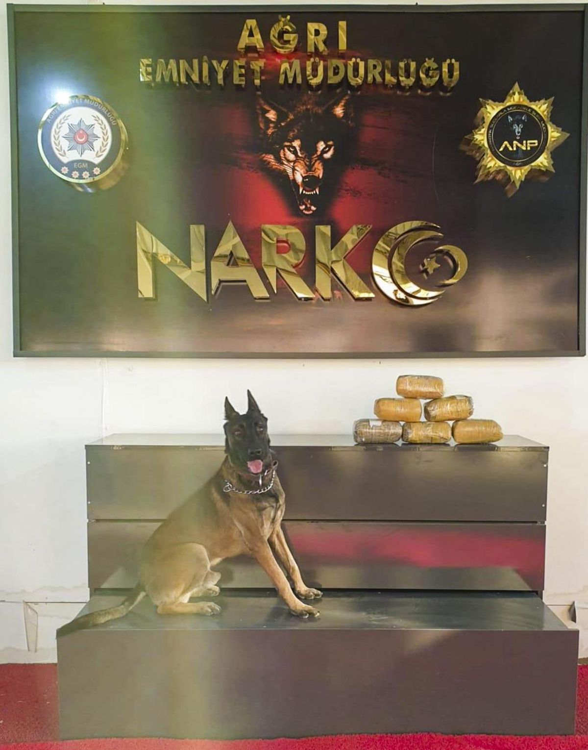 Ağrı\'da aracında uyuşturucu ele geçirilen sürücü tutuklandı