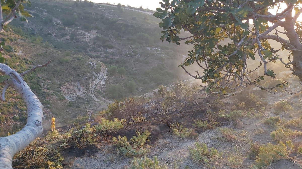 Son dakika haberi: Hatay\'da çıkan örtü yangını kontrol altına alındı