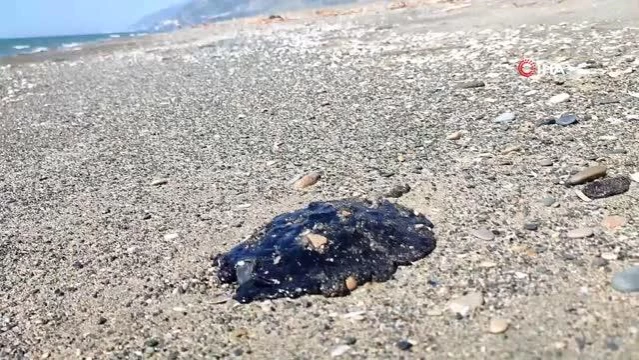 Samandağ sahilinde deniz çekilince petrol atıkları iyice ortaya çıktı
