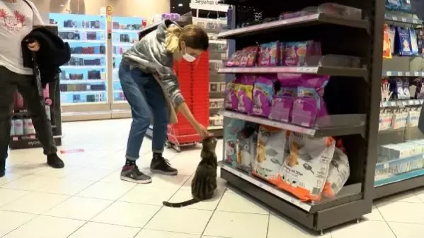 Topal taklidi ve bay�lma numaras� yapan kedi, m��terilere mama ald�r�yor