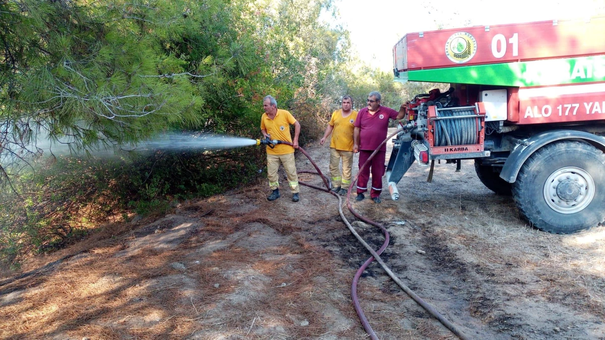 Adana\'da çıkan orman yangını söndürüldü
