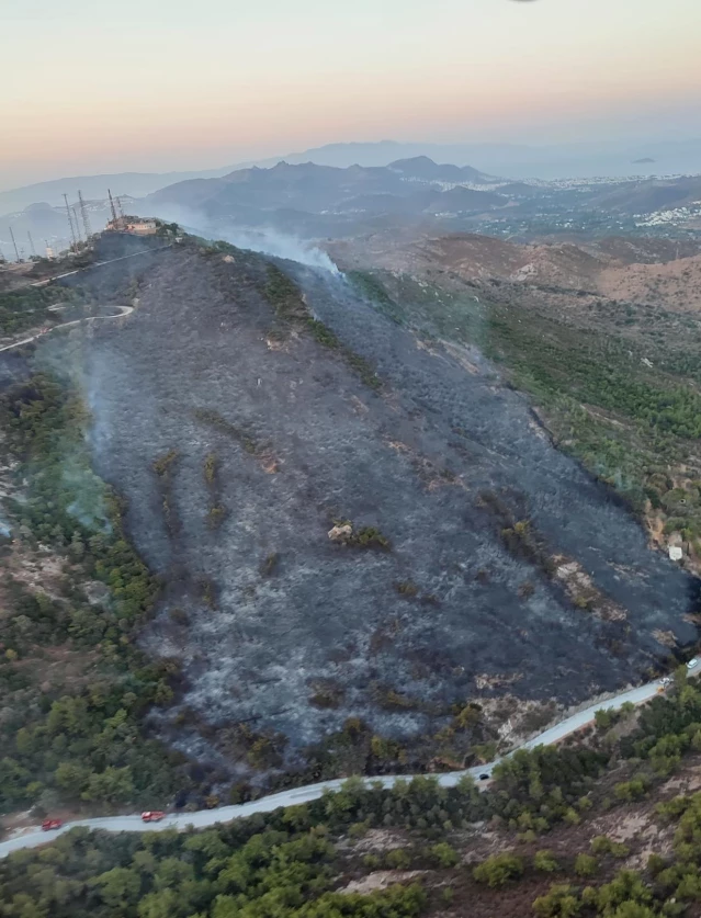 Son dakika haberleri! Bodrum'da çıkan yangında 5 hektar makilik alan zarar gördü