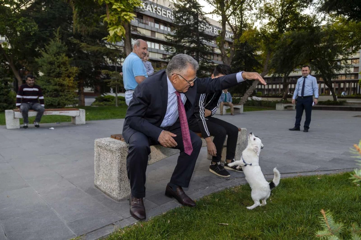 Büyükşehir, Sokak Hayvanlarının Yanında