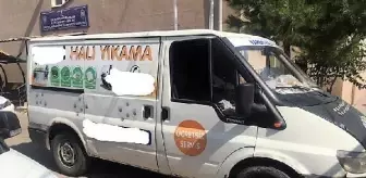 Halı yıkama minibüsünden 33 kaçak göçmen çıktı