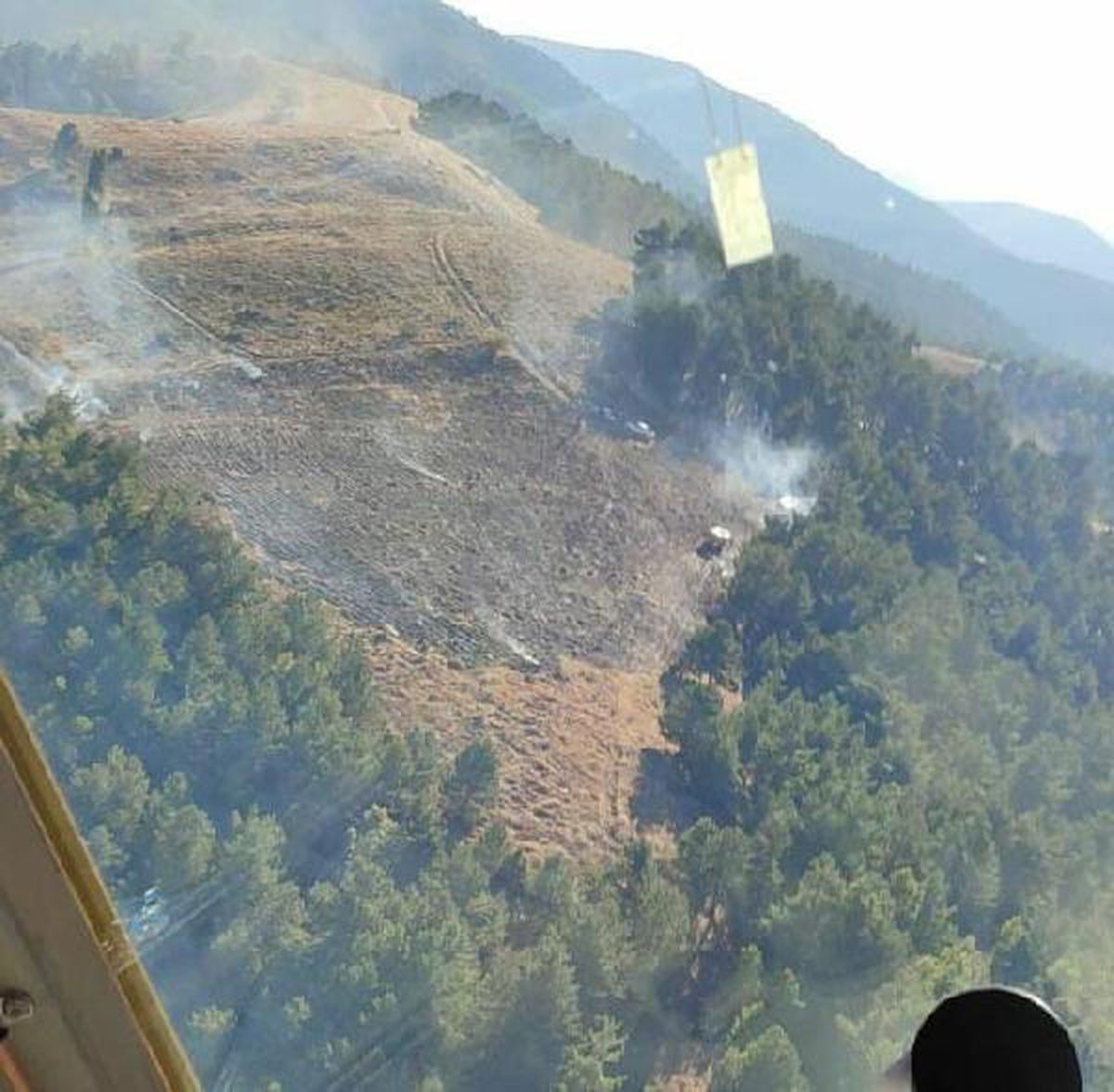 Son dakika... İzmir\'de otluktaki yangın ormana sıçradı (2)