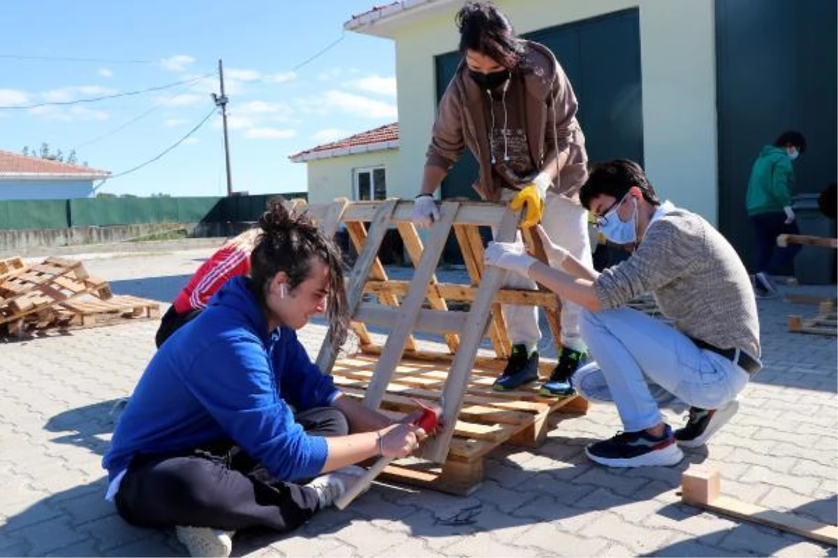 LİSELİ GENÇLER, SOKAK HAYVANLARINA KIŞLIK KULÜBE YAPTI