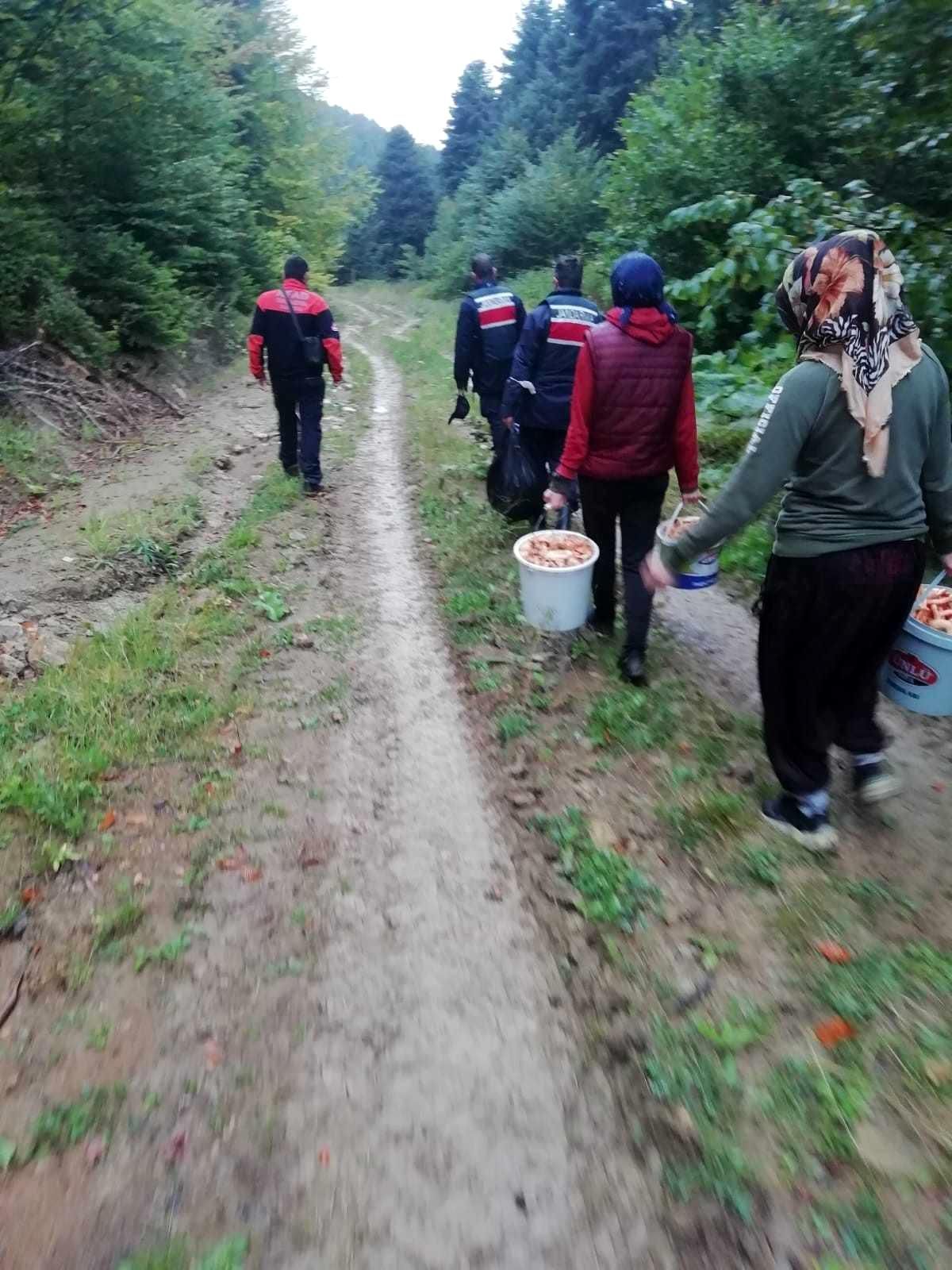 Mantar toplarken kaybolan 6 kişi bulundu