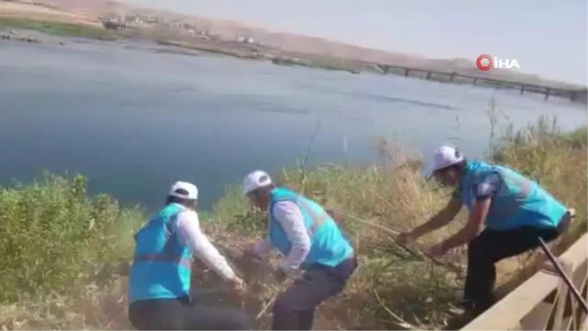 Şırnak\'ta DEDAŞ personelleri Dicle Nehri çevresini temizledi