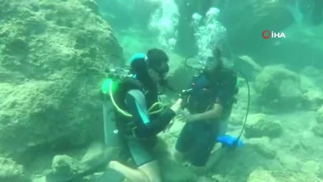 Su üstündeki yunuslardan su altında evlenme teklifi
