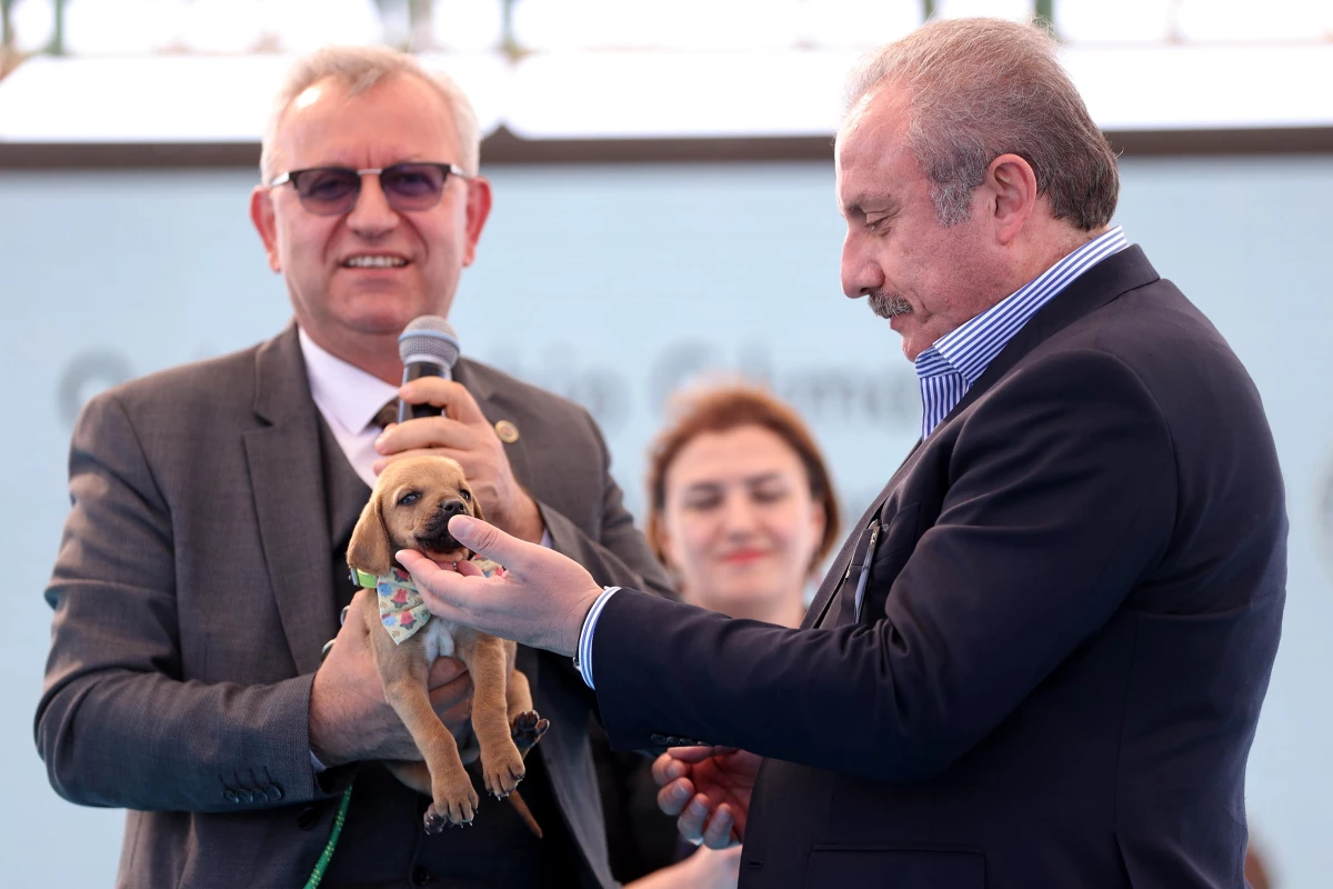 TBMM Başkanı Şentop\'a barınak açılışında sokak köpeği armağan edildi