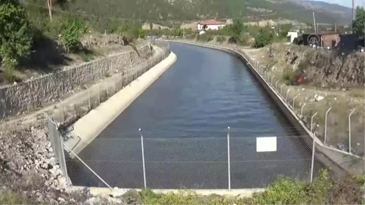 Son dakika haber! Yeşilırmak\'ta balık ölümleri görüldü