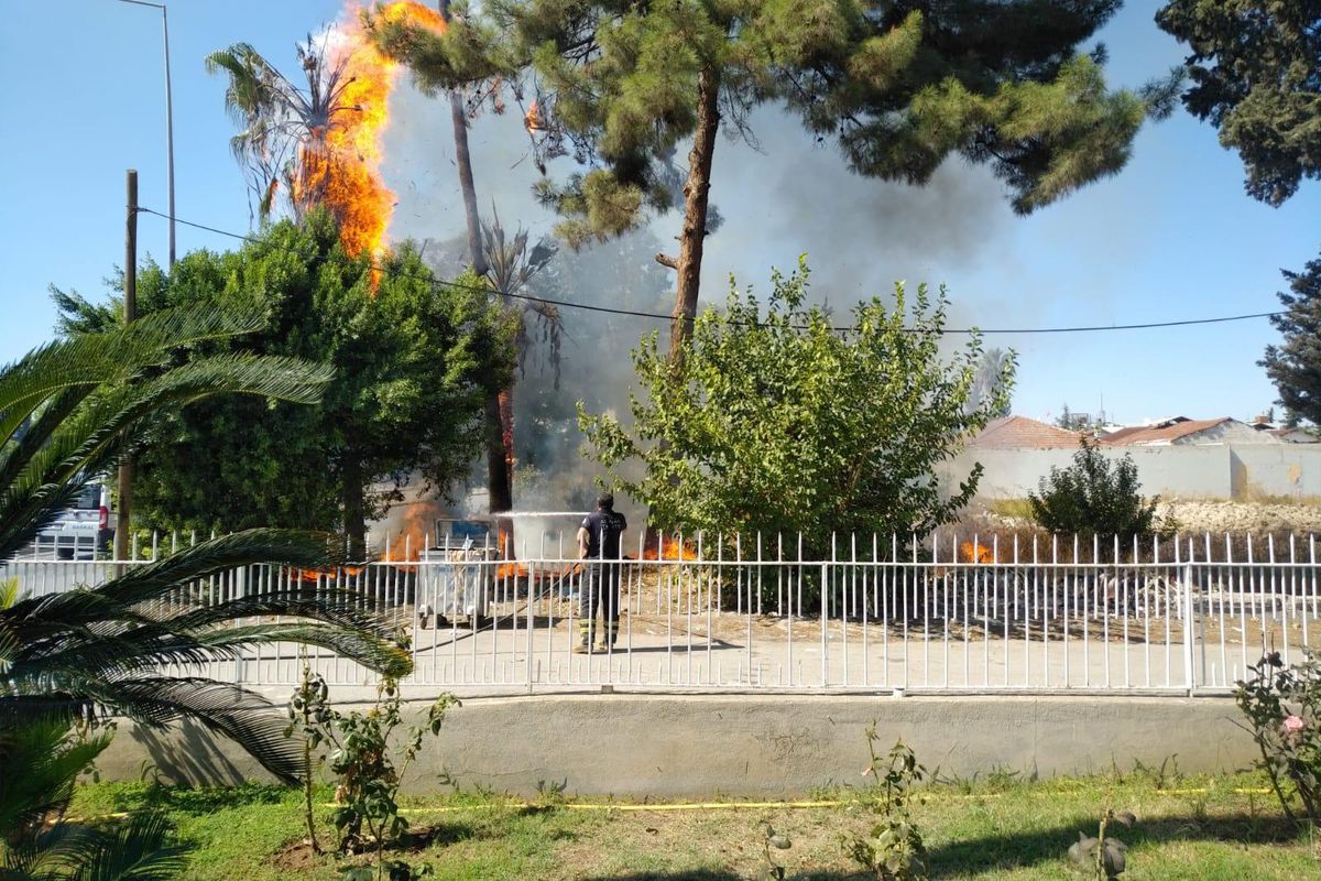 Son dakika haber! Adana\'da ağaçlık alanda çıkan yangın söndürüldü
