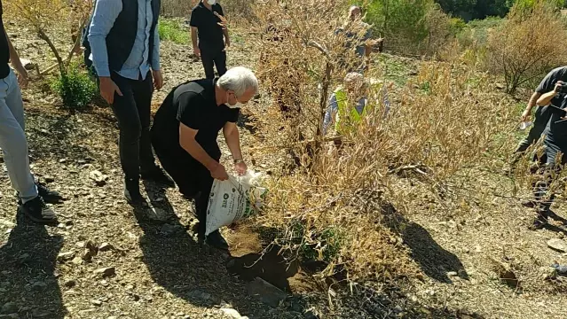 Adana'da yangından etkilenen zeytinlikler organik gübreyle canlanacak