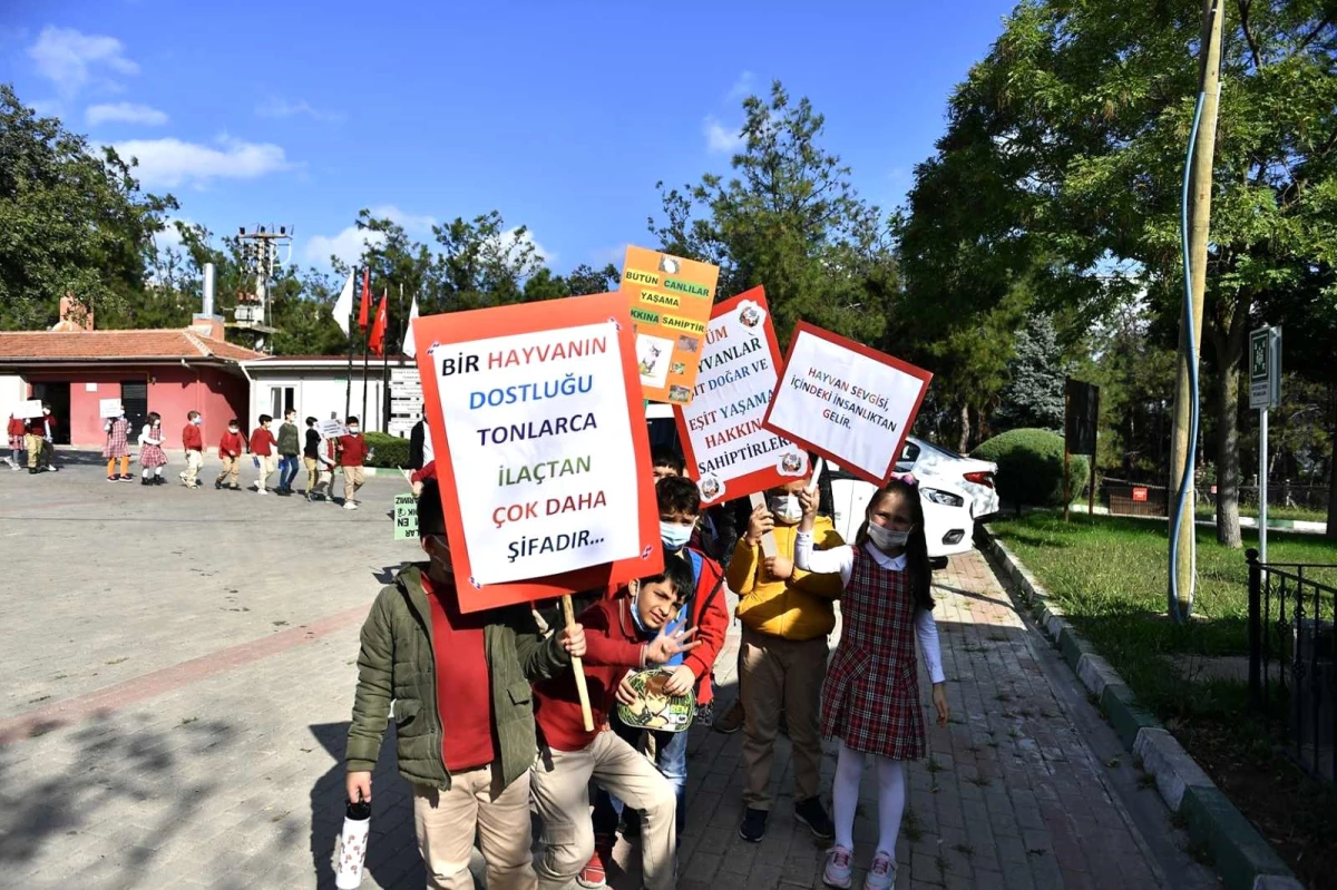 Barınak kapılarını hayvanseverlere açtı