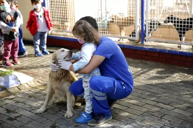 Barınaktaki hayvanlara çocuklardan mama