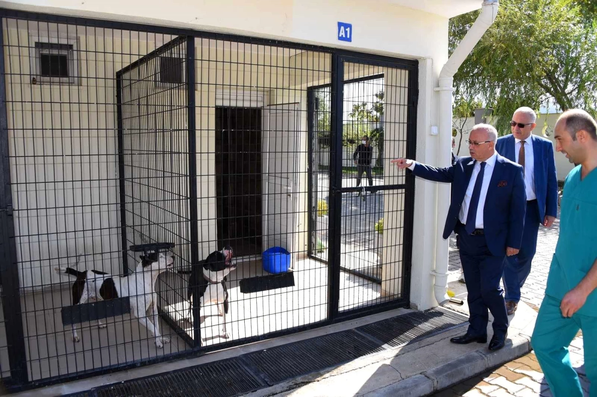 Başkan Kayda\'dan sokak hayvanlarına yakın ilgi