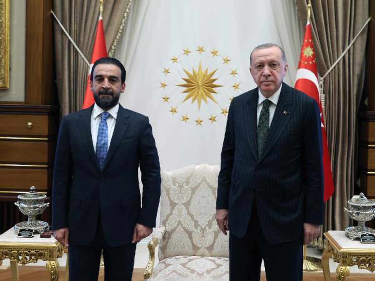 Cumhurbaşkanı Erdoğan, Irak Takaddum Partisi Genel Sekreteri Hablusi\'yi kabul etti
