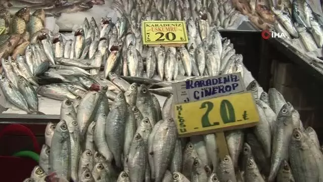 deniz olmayan baskent te ulus hali balikci esnafi meydan okudu son dakika ekonomi