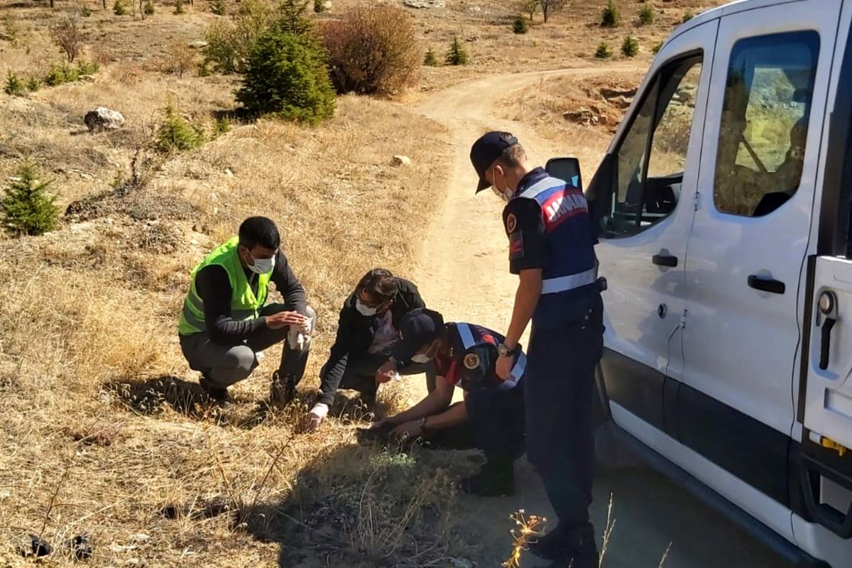 Elazığ\'da jandarma sokak hayvanlarını besledi