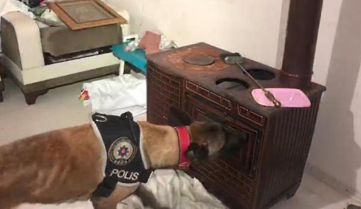 Evin her yerinden uyuşturucu çıktı