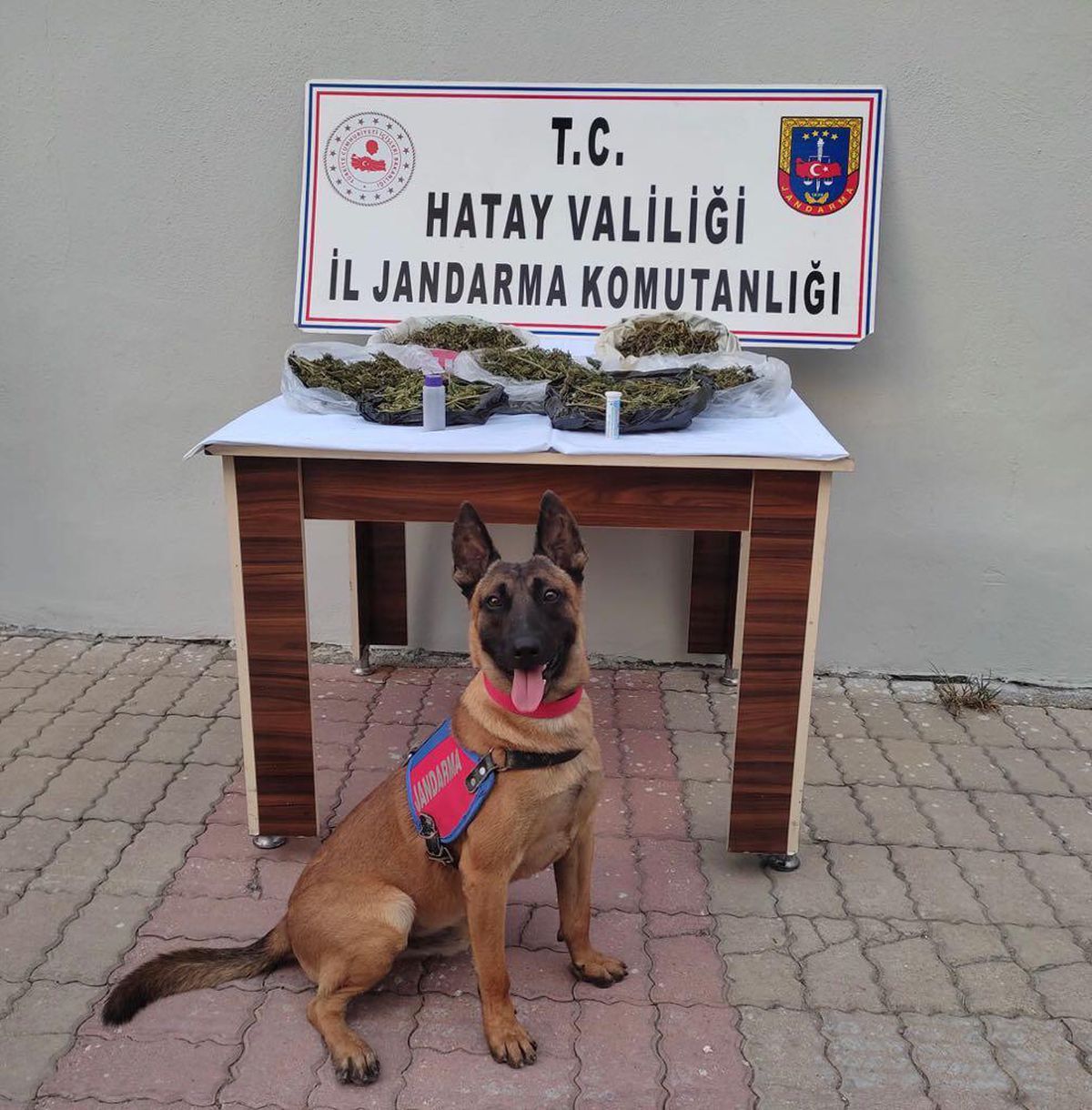 Son dakika haberi | Hatay\'da uyuşturucu operasyonunda yakalanan şüpheli tutuklandı