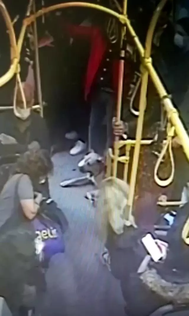 İstanbul'un gezgin köpeği Boji Ataşehir'de kameralara yakalandı İstanbul'un gezgin köpeği Boji Ataşehir'de kameralara yakalandı