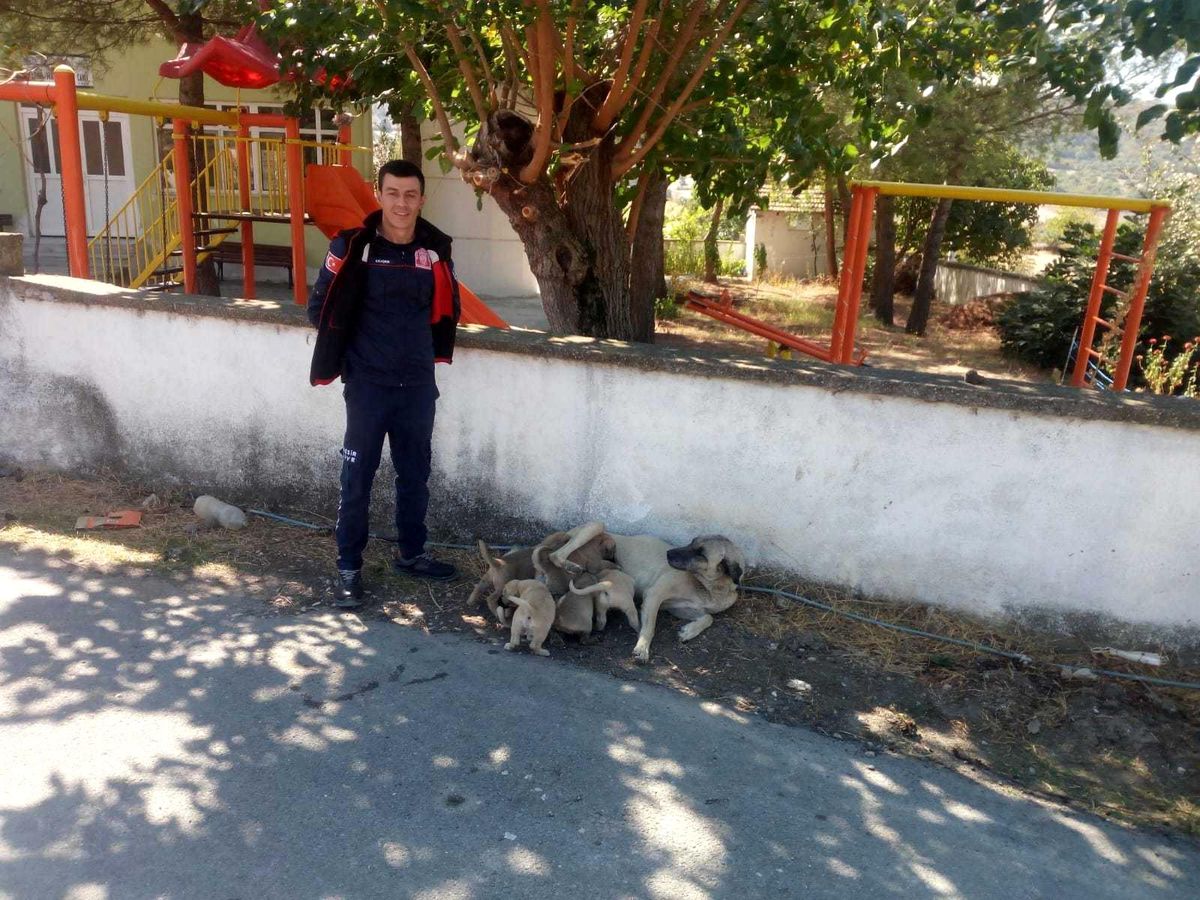 Son dakika! İtfaiyeden yavru köpek kurtarma operasyonu