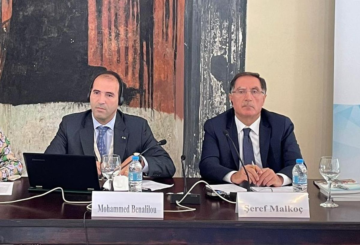 Kamu Başdenetçisi Malkoç, Yunanistan\'da iklim krizi ve göçmen sorununu değerlendirdi Açıklaması