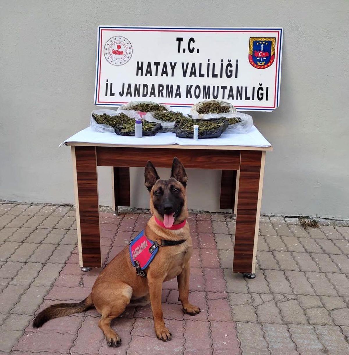 Kırıkhan\'da uyuşturucu operasyonuna 1 tutuklama