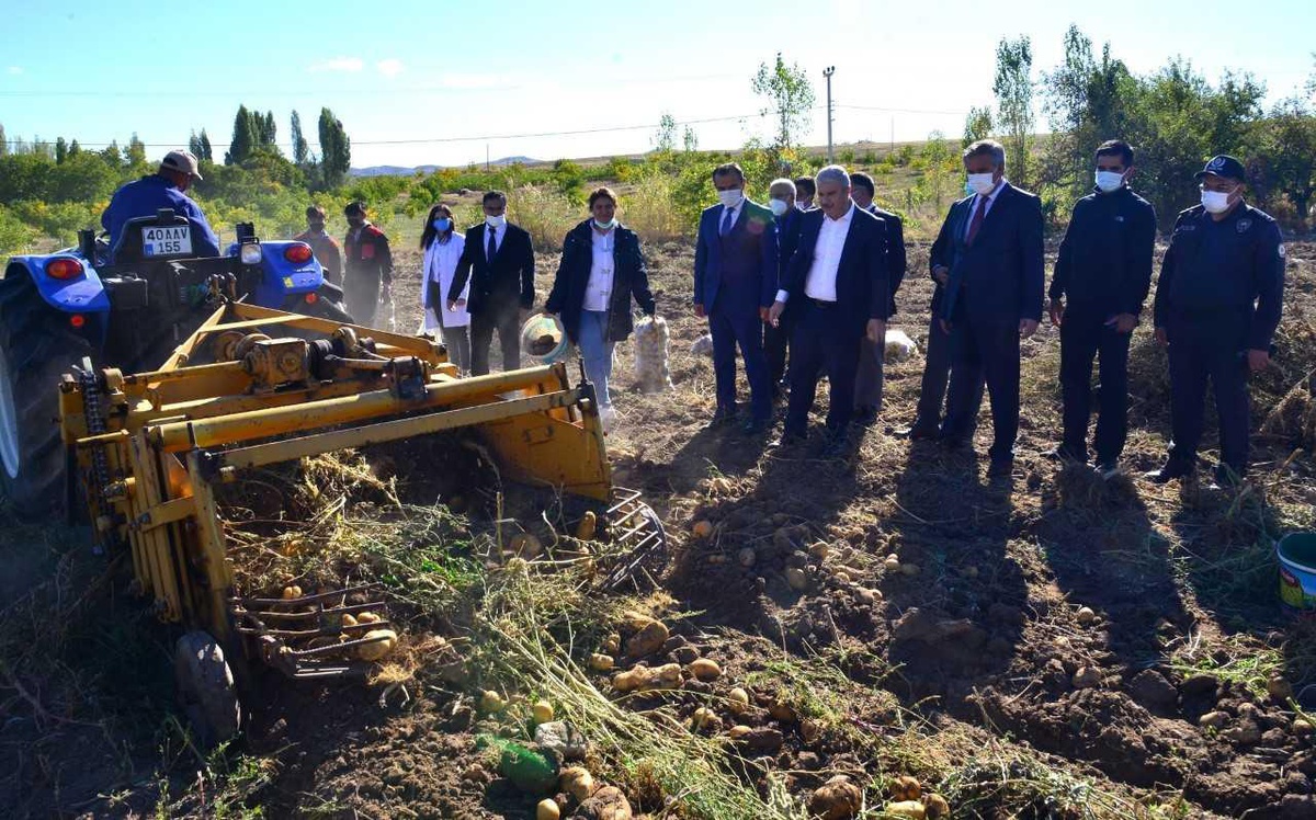 Kırşehir Valisi Akın, öğrencilerin uygulama bahçesinde patates hasadına katıldı