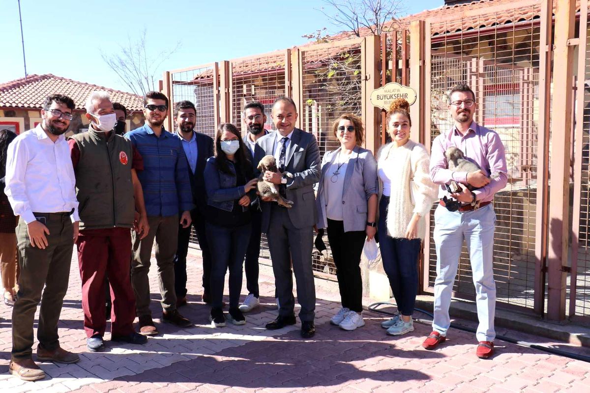 Malatya\'ya tam teşekküllü hayvan hastanesi