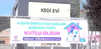 Minik kalpler için 67 okula kulübe ve can dostları hediye edildi