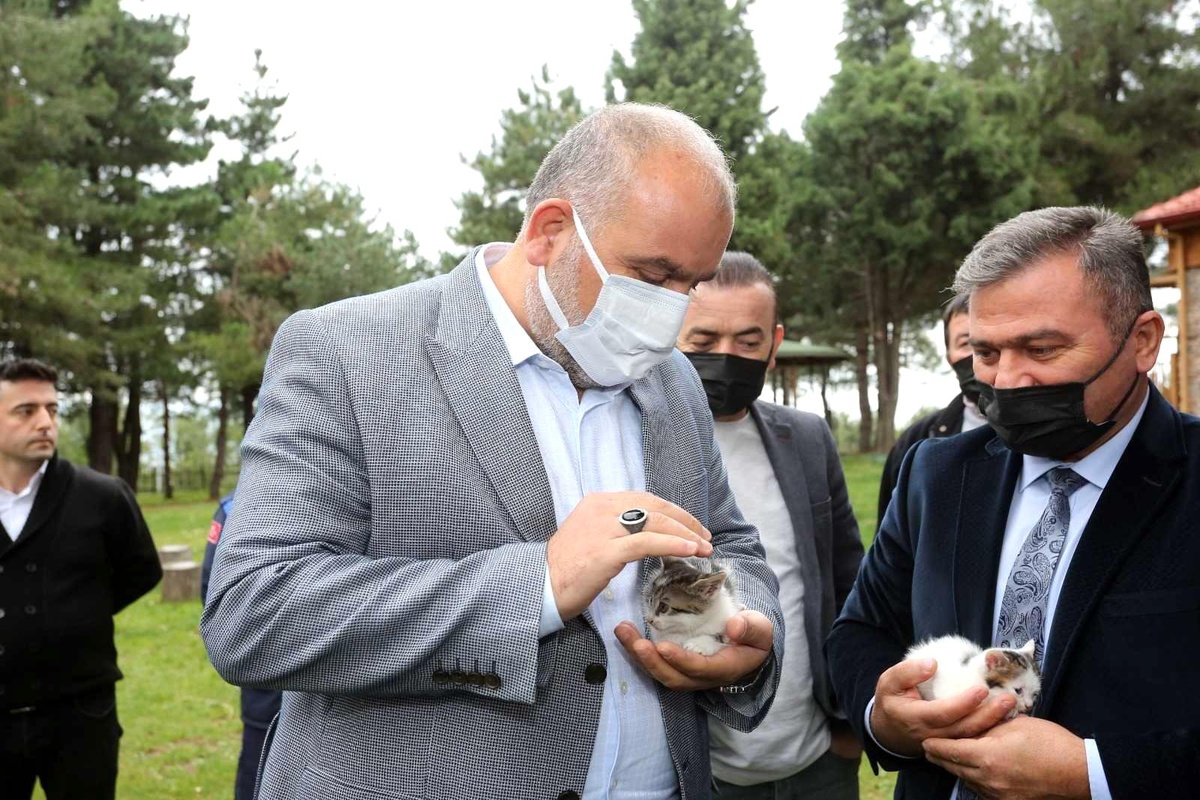 Son dakika... Sandıkçı: "Çocuklara hayvan sevgisi aşılayalım"