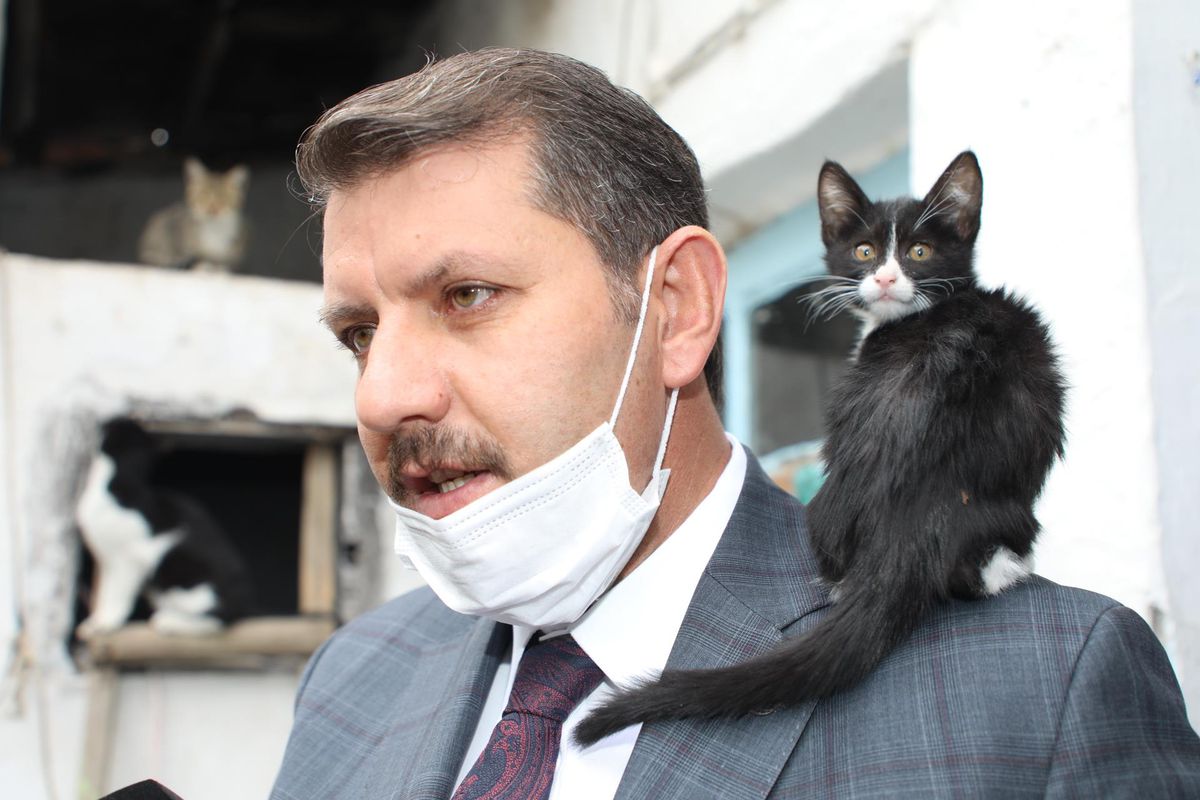 Sivas Valisi Salih Ayhan\'dan hayvanseverlere ziyaret