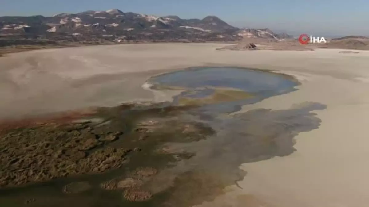 Su seviyesi artan Yarışlı Göl\'e kuş akını